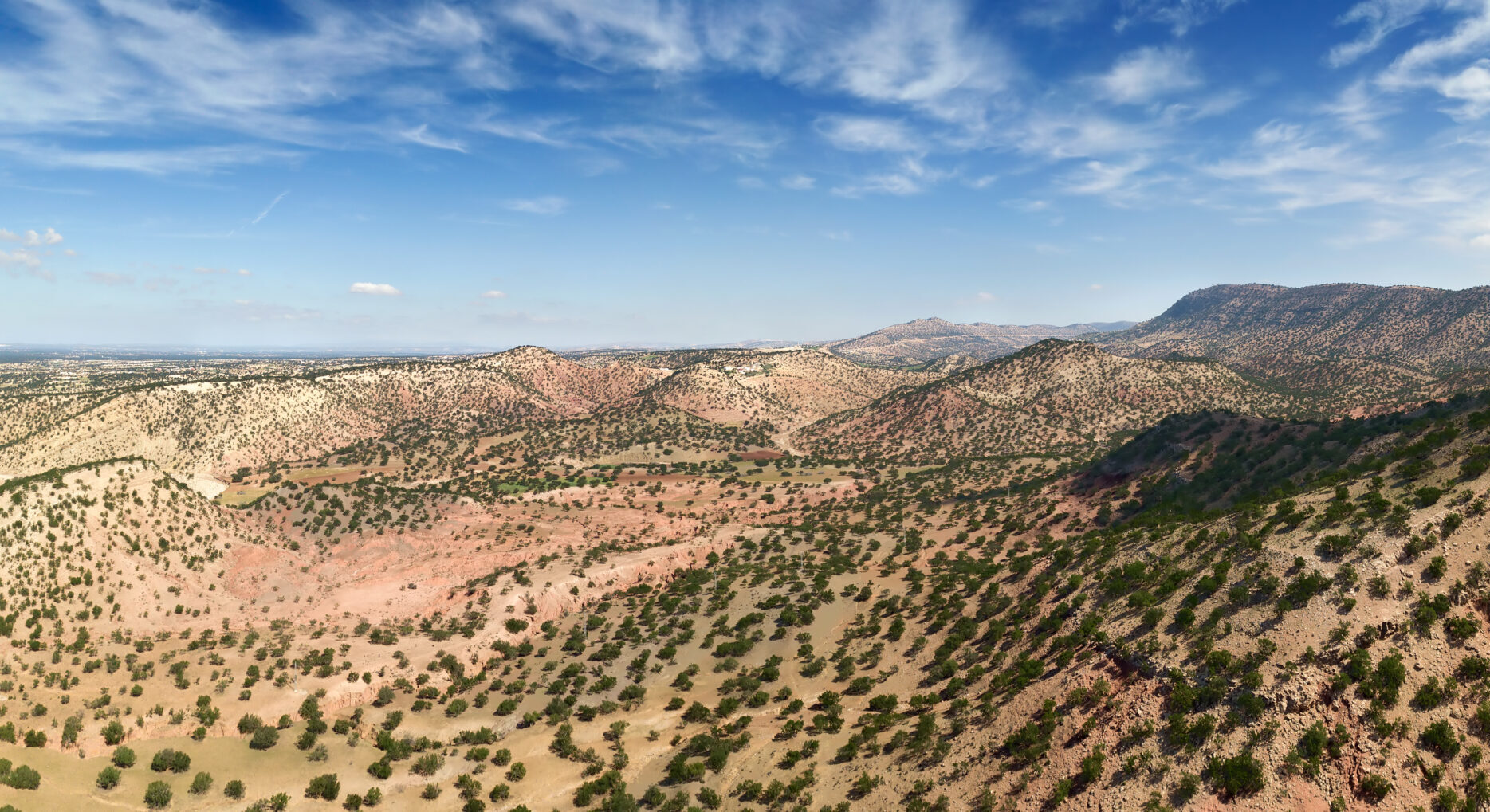 Aerial,Panorama,Of,Mountains,With,Argan,Trees,In,Their,Natural